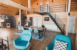 Proprietate deosebita, cabana in stil scandinav, 250 mp utili, Belis