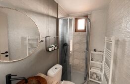 Proprietate deosebita, cabana in stil scandinav, 250 mp utili, Belis