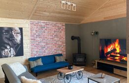 Proprietate deosebita, cabana in stil scandinav, 250 mp utili, Belis