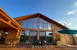 Proprietate deosebita, cabana in stil scandinav, 250 mp utili, Belis