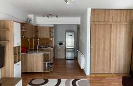 Apartament 1 cameră, parcare subterană, bloc nou, zona Piața 1 Mai