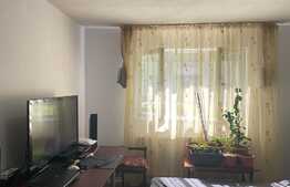 Garsoniera de 31 mp, centrala proprie, zona Bartolomeu