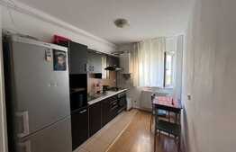Apartament 2 camere, 45 mp, semidecomandat, zona Stejarului