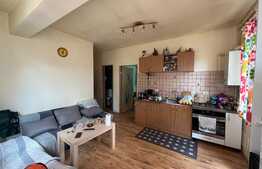 Apartament 2 camere, 40 mp, semidecomandat, zona Stejarului