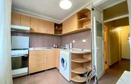 Garsoniera de 45 mp, etaj intermediar, zona Dambul Rotund