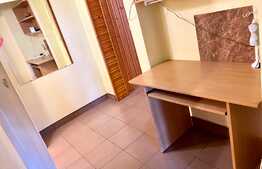 Garsoniera de 45 mp, etaj intermediar, zona Dambul Rotund