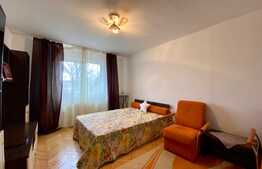 Garsoniera de 45 mp, etaj intermediar, zona Dambul Rotund