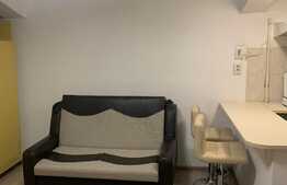 Garsonieră 20 mp, preluare chiriaș, zona străzii Horea