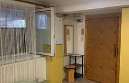 Garsonieră 20 mp, preluare chiriaș, zona străzii Horea