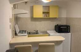 Garsonieră 20 mp, preluare chiriaș, zona străzii Horea