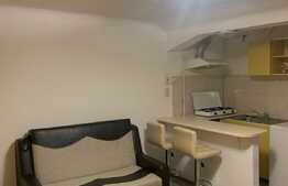 Garsonieră 20 mp, preluare chiriaș, zona străzii Horea