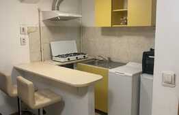 Garsonieră 20 mp, preluare chiriaș, zona străzii Horea