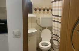 Garsonieră 20 mp, preluare chiriaș, zona străzii Horea