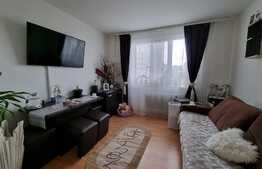 Apartament 2 camere, 48 mp, etaj intermediar, zona Iulius Mall