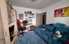 Apartament 2 camere, 48 mp, etaj intermediar, zona Iulius Mall