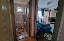 Apartament 2 camere, 48 mp, etaj intermediar, zona Iulius Mall