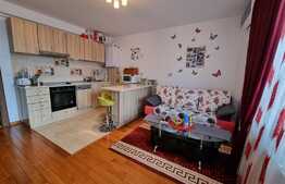 Apartament de 2 camere, parchet din lemn de stejar, la cheie, in Borhanci