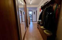 Apartament de 2 camere, parchet din lemn de stejar, la cheie, in Borhanci