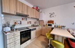 Apartament de 2 camere, parchet din lemn de stejar, la cheie, in Borhanci