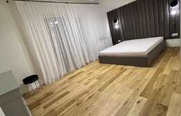 Casa individuala, finisata lux, 140 mp, 165 teren, zona Piata Engels