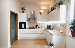 Apartament exclusivist de 3 camere , la casă, tavan înalt