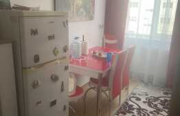 Apartament 2 camere, 50 mp, zona Bod Colonie