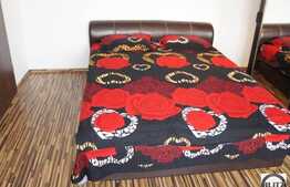 2 camere + terasa de 120 mp in zona Calea Turzii