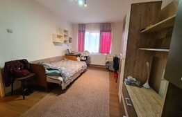 Apartament 2 camere, decomandat, 45mp, zona strazii Clabucet 