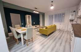 Apartament 2 camere, modern,  totul nou, zona Teilor