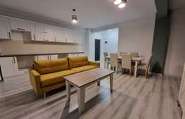 Apartament 2 camere, modern,  totul nou, zona Teilor