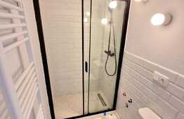 Garsoniera ultracentrala, 28 mp, proaspat renovata, zona Ultracentrala