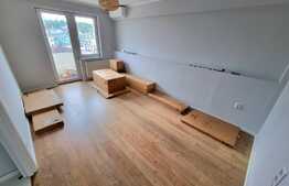 Garsoniera ultracentrala, 28 mp, proaspat renovata, zona Ultracentrala