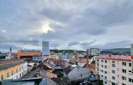 Garsoniera ultracentrala, 28 mp, proaspat renovata, zona Ultracentrala