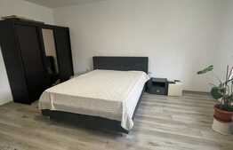 Casă de închiriat, 3 camere, 90 mp, zona Avram Iancu