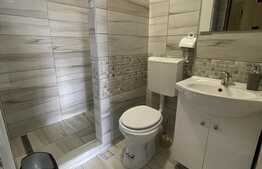 Casă de închiriat, 3 camere, 90 mp, zona Avram Iancu
