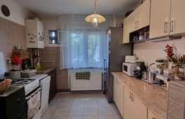 Apartament 3 camere, 62 mp, renovat 2021