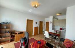 Apartament 2 camere, terasa, AC, garaj, zona Iulius Mall