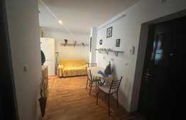 Apartament 1 camera, 44 mp, parcare, zona Florilor