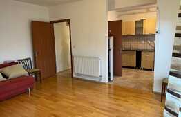 Apartament 2 camere, 52 mp, decomandat, zona Muzeul Apei