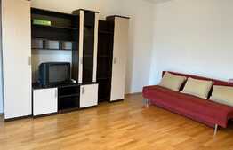 Apartament 2 camere, 52 mp, decomandat, zona Muzeul Apei