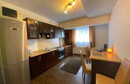 Apartament 1 camera, 42 mp, decomandat, zona Stejarului