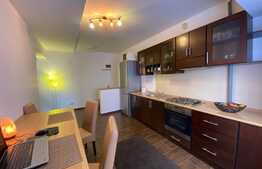 Apartament 1 camera, 42 mp, decomandat, zona Stejarului