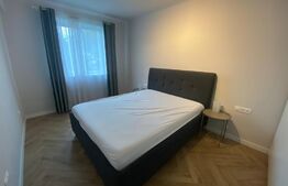 Apartament 2 camere, terasa, zona Parcul Feroviarilor