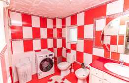 Oportunitate! Casă individuală 200mp utili, 600mp teren, garaj, Dezmir