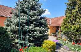 Casa individuala,137 mp utili, 660 mp teren,zona linistita