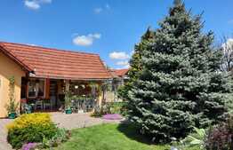 Casa individuala,137 mp utili, 660 mp teren,zona linistita