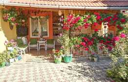 Casa individuala,137 mp utili, 660 mp teren,zona linistita