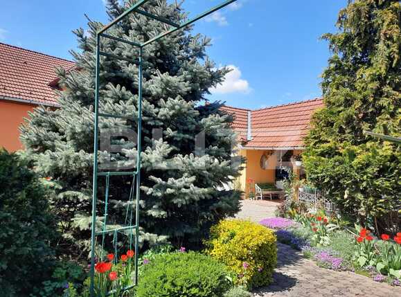 Casa de vânzare 4 camere Exterior Sud - 85503CV | BLITZ Cluj-Napoca | Poza6