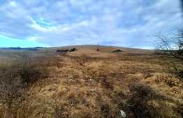 Teren intravilan 2900mp, situat in cartierul Sopor 