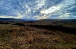 Teren intravilan 2900mp, situat in cartierul Sopor 